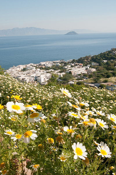 View of Mandraki from the Castro
